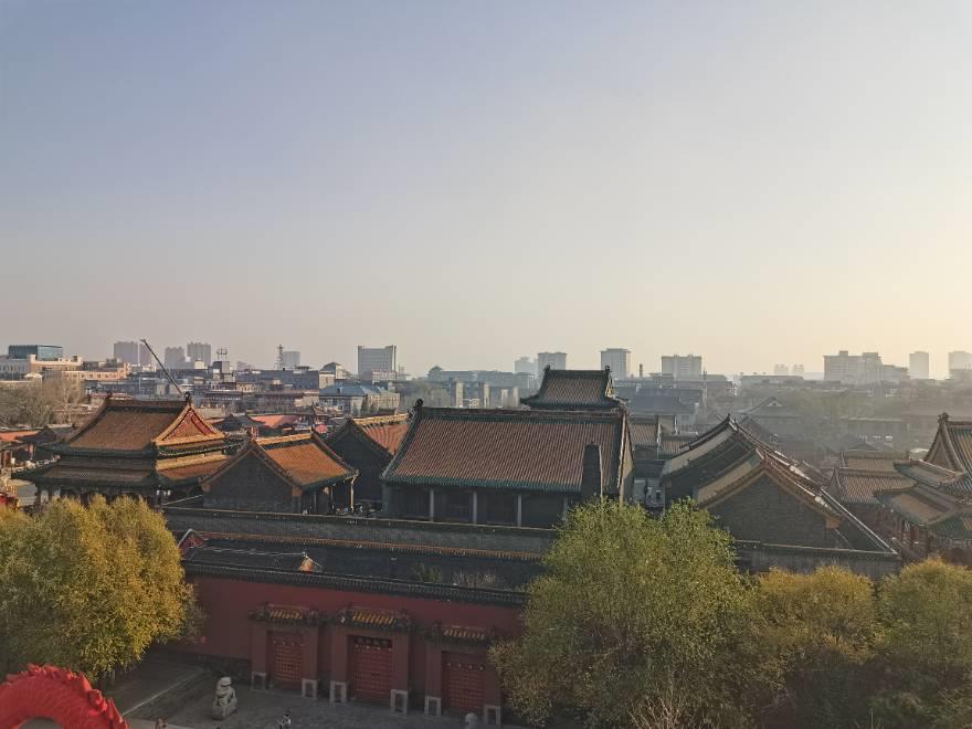 沈阳家教网-杨老师