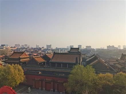 杨老师