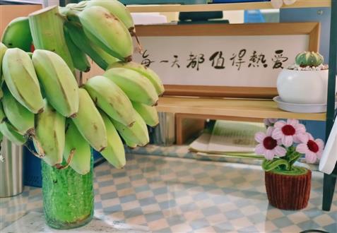 魏老师