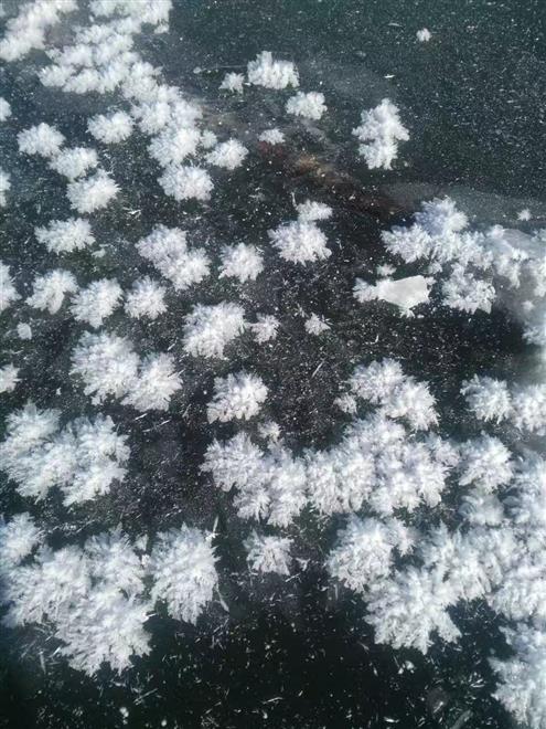 沈阳家教网-裴老师