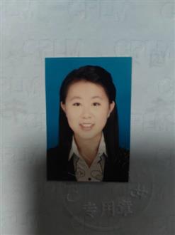 桑老师