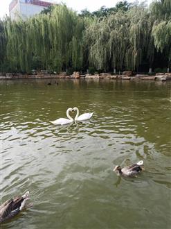赵老师