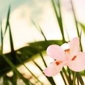 闫老师