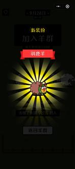 刘老师